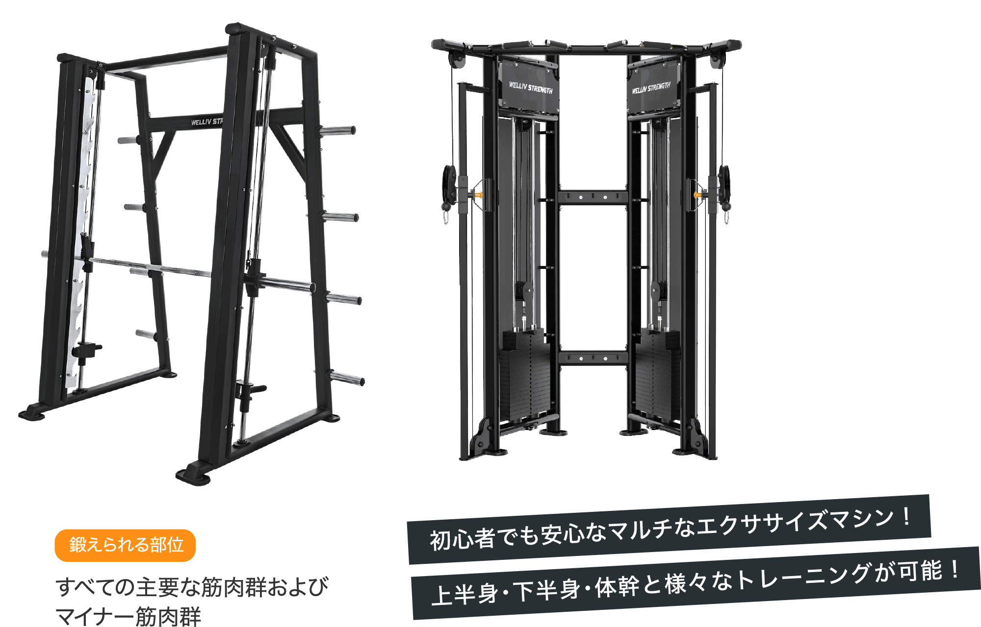 Functional Area スミスマシン・デュアルプーリー 初心者でも安心なマルチなエクササイズマシン! 上半身・下半身・体幹と様々なトレーニングが可能!