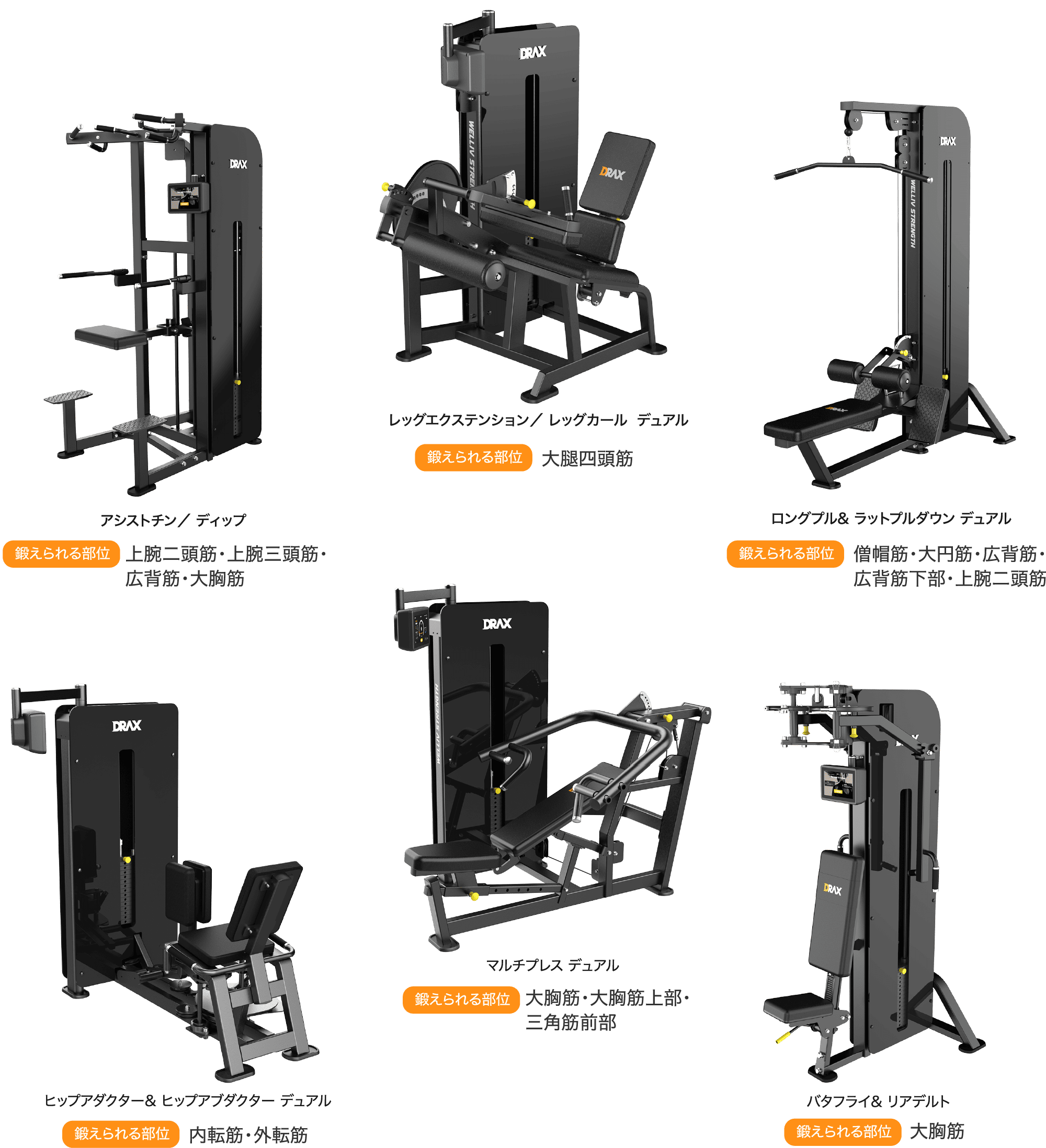 Strength Machine Area アシストチン/ ディップ・レッグエクステンション/ レッグカール デュアル・レッグエクステンション/ レッグカール デュアル・ヒップアダクター& ヒップアブダクター デュアル・マルチプレス デュアル・バタフライ& リアデルト